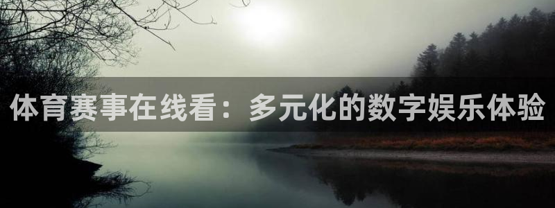 24直播网足球直播网：体育赛事在线看：多元化的数字娱乐体验