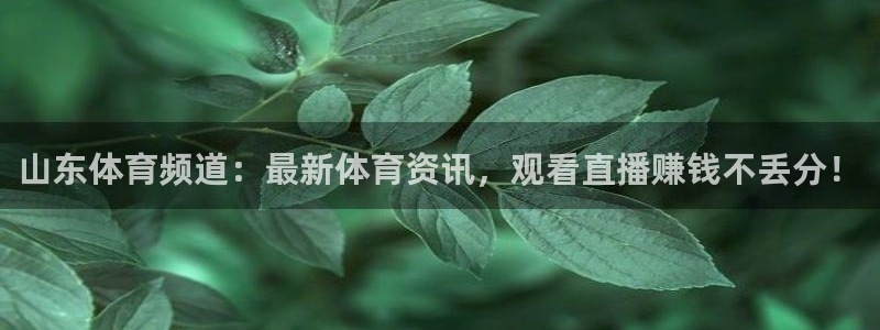 nba在线观看免费观看24直播网：山东体育频道：最新体育资讯，观看直播赚钱不丢分！