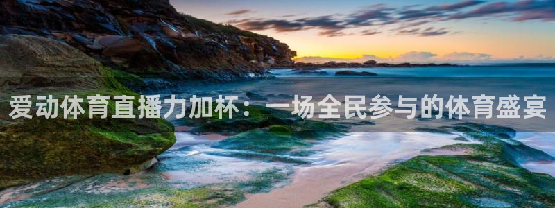 nba直播免费高清直播24直播网：爱动体育直播力加杯：一场全民参与的体育盛宴